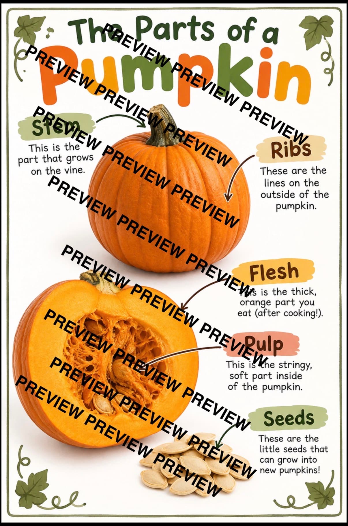 Parts of a Pumpkin